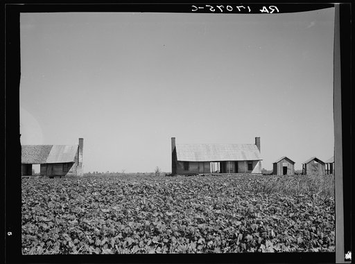 Dog run cabins of the Mississippi Delta. This plantation has been mechanized and these cabins abandoned