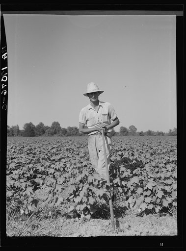 Sharecropper of the Mississippi Delta. Issaquena County, Mississippi