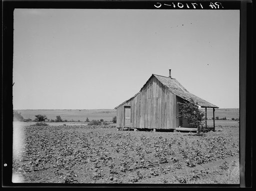 The cotton lands of Ellis County, Texas, are well adapted to tractor farming but the houses of the farmer tenants stand empty