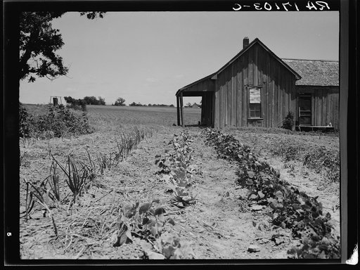 House of ex-tenant farmer now on relief. Ellis County, Texas