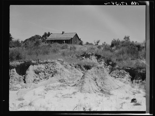 Eroded cotton farm near Jackson, Mississippi