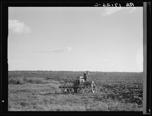 Aldridge Plantation, Mississippi