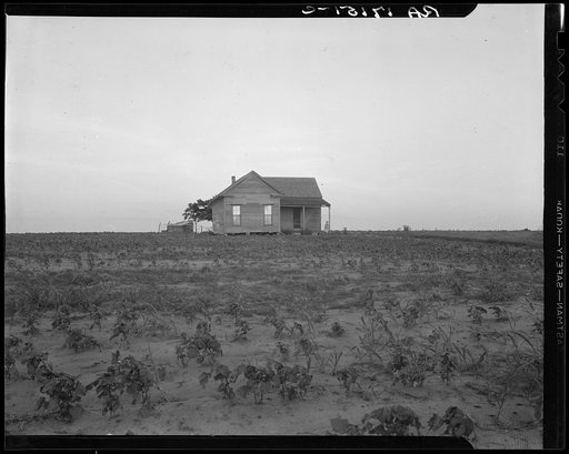 Cotton sharecropper farm, Texas