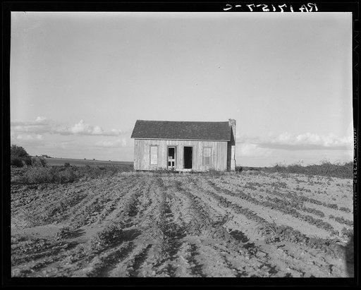 Abandoned tenant house. Childress County, Texas