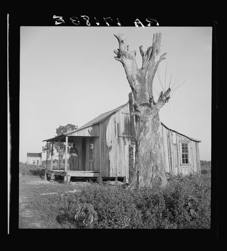 Plantation cabin of sharecropper. Washington County, Mississippi