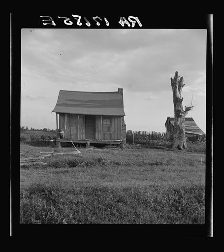 Plantation cabin of sharecropper. Washington County, Mississippi