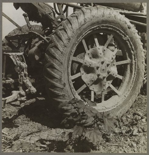 The tractor is driving cotton workers off the land. Mississippi Delta, Aldridge Plantation