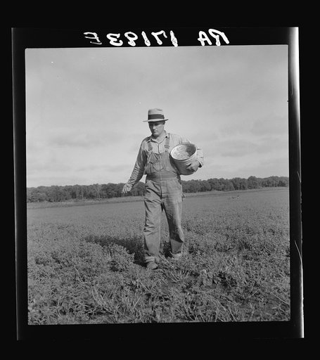 Untitled photo, possibly related to: Tenant farmer spreading grasshopper bait in his alfalfa field, five miles from Oklahoma City, Oklahoma