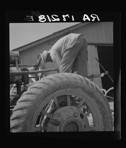 The tractor driver is colored. His wages when he works is one dollar and fifty cents a day as long as there is daylight. Aldridge Plantation, Mississippi