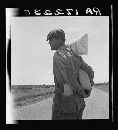Relief client near Oil City, Oklahoma. Oil City is a source of heavy immigration to California. Carter County, Oklahoma