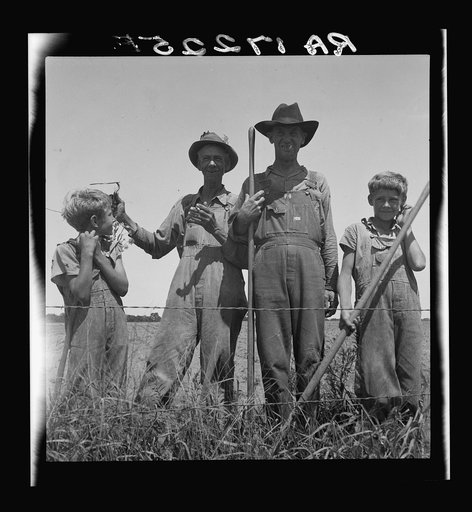 Cotton farmers near Oil City, Oklahoma, day laborers. Carter County, Oklahoma