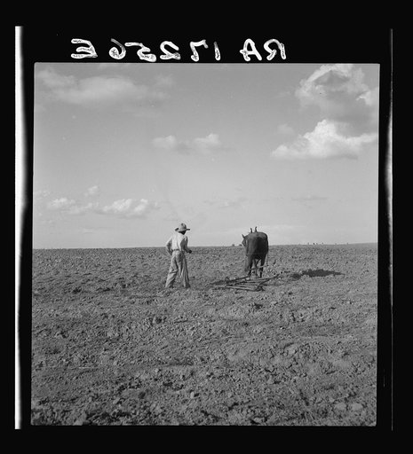 Harrowing. West Texas