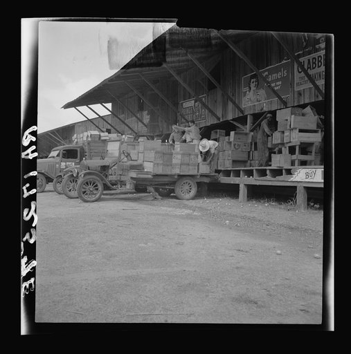 Tomato packing shed for packing and shipment north. Hazelhurst, Mississippi