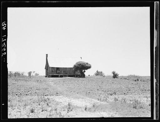 White sharecropper's home. He drives tractors for his present landlord for seventy-five cents a day near Cleveland, Mississippi