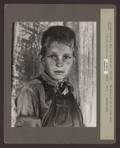 Twelve year old son of a cotton sharecropper near Cleveland, Mississippi
