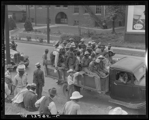 Memphis, Tennessee. Cotton hoers are transported to the fields daily during the season. Truck drivers are paid by the planters and serve as "runners" to recruit the men. Trucks leave at five o'clock in the morning for the Arkansas Delta plantations. Hoers are paid one dollar a day