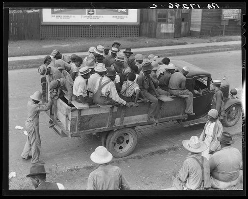 Memphis, Tennessee. Cotton hoers are transported to the fields daily during the season. Truck drivers are paid by the planters and serve as "runners" to recruit the men. Trucks leave at five o'clock in the morning for the Arkansas Delta plantations.