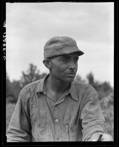 Member of the Delta cooperative farm at Hillhouse, Mississippi