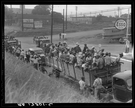 Cotton hoers loading at Memphis, Tennessee for the day's work in Arkansas