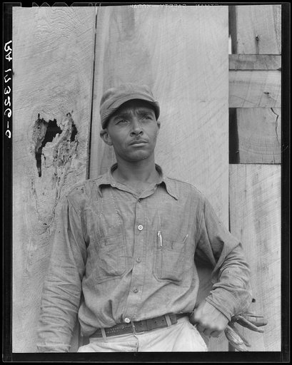 Member of the Delta cooperative farm. Hillhouse, Mississippi