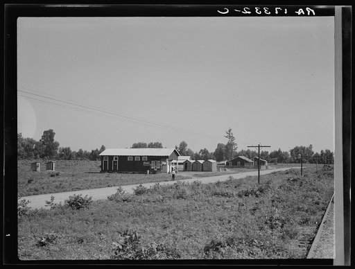 Approach to the Delta cooperative farm from highway, cooperative store in foreground. Hillhouse, Mississippi