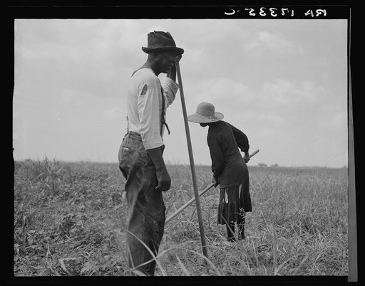 Cotton sharecroppers. Greene County, Georgia. They produce little, sell little, buy little