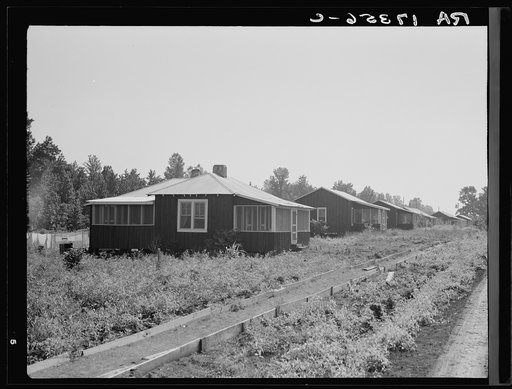 Cabins at the Delta cooperative farms. Hillhouse, Mississippi. Screen windows and porches are uncommon in cotton cabins