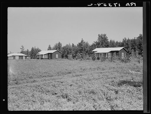 Cabins at the Delta cooperative farm. Hillhouse, Mississippi