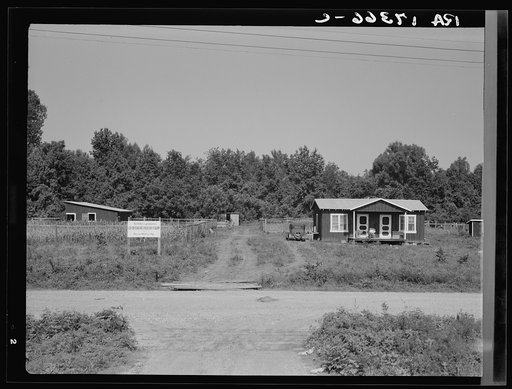 The poultry unit of the Delta cooperative farm. Hillhouse, Mississippi