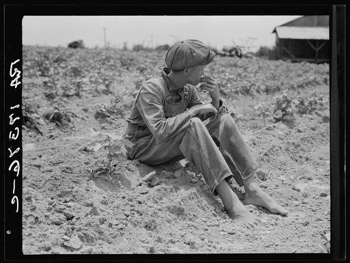 Sharecropper boy. Chesnee, South Carolina