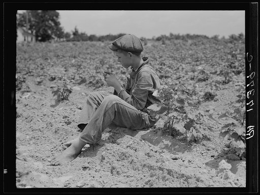 Sharecropper boy near Chesnee, South Carolina