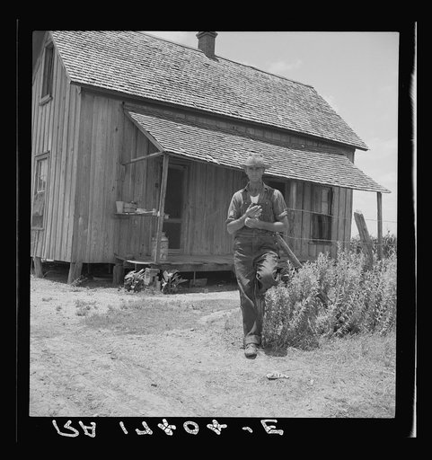 Former tenant farmer on a large cotton farm. Now a tractor driver for one dollar a day on the same farm. Bell County, Texas
