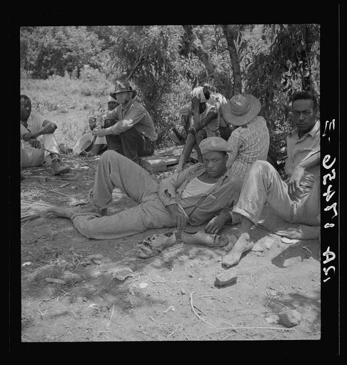 Lunchtime for cotton hoers. Mississippi Delta