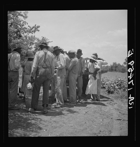 Lunchtime for cotton hoers. Mississippi Delta