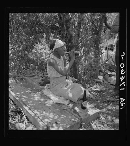 Lunchtime for cotton hoers. Mississippi Delta