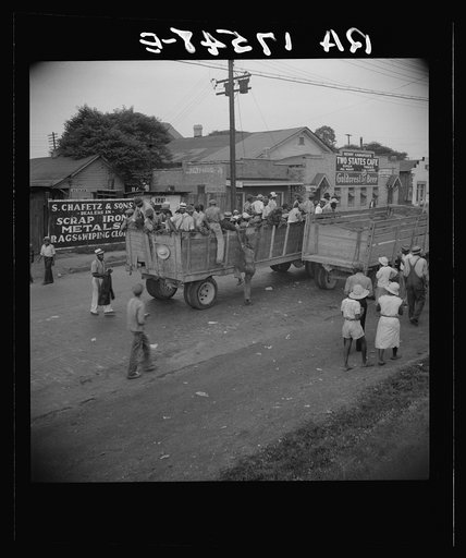 Cotton hoers from Memphis, Tennessee are carried by trucks to the Arkansas plantations