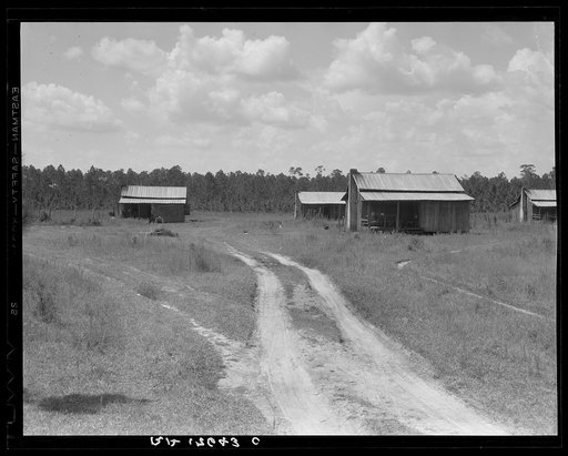 Turpentine worker's cabins. Valdosta, Georgia