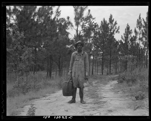 Turpentine dipper near Waycross, Georgia