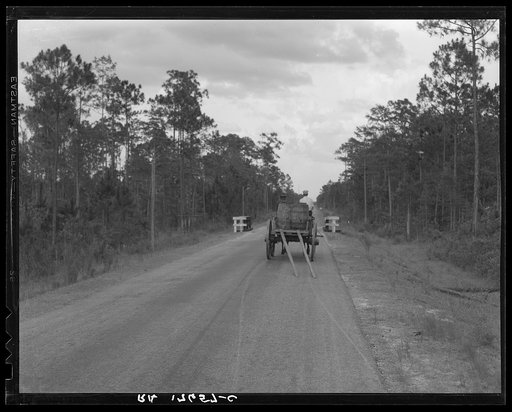 Wagon hauling turpentine out of the woods. Georgia