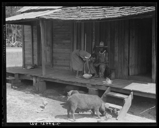 Turpentine worker's home. Georgia