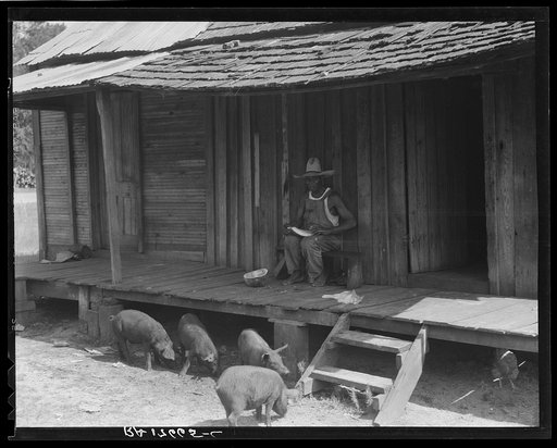Turpentine worker's home. Georgia