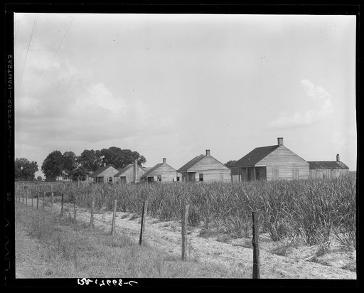 Cabins for sugarcane workers. Bayou La Fourche, Louisiana