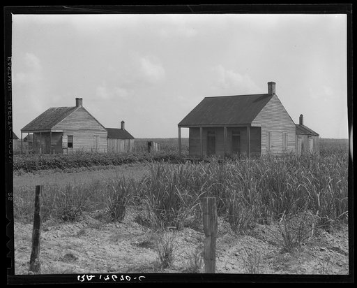 Cabins for sugarcane workers. Bayou La Fourche, Louisiana