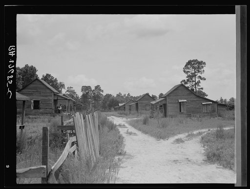 Careyville, northern Florida. A few colored families still live here, but almost all the houses stand empty. The people scattered