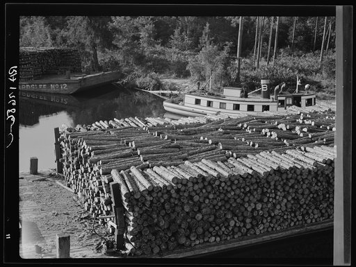 Pulp wood going down the River Styx to Mobile by inland waterway near Robertsdale, Alabama