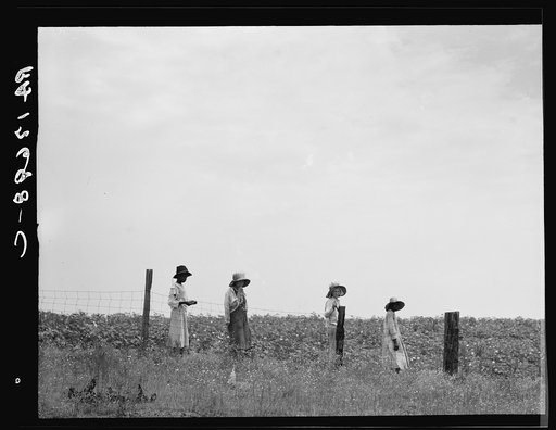 Cotton hoers leaving the fields for lunch. Farmer's daughter and laborers, whites and blacks. Georgia