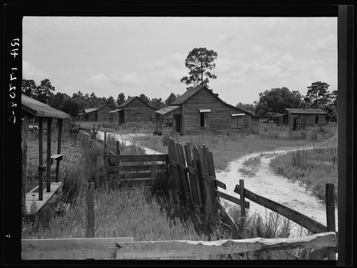 Careyville, northern Florida. The houses are deserted since the mill closed