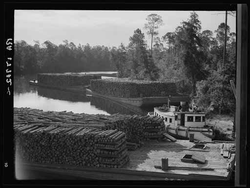Pulpwood going down the River Styx to Mobile by inland waterway. Near Robertsdale, Alabama