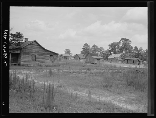 Careyville, Florida. A sawmill village, abandoned after the closing of the mill
