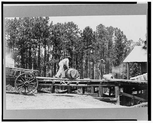 Turpentine still. Georgia